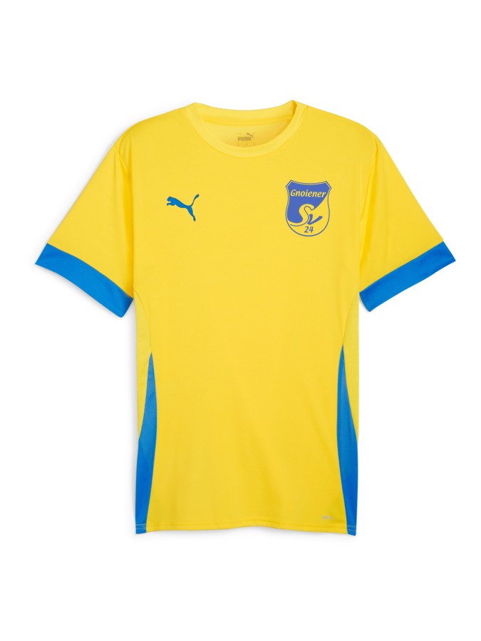 PUMA teamGOAL Matchday Trikot