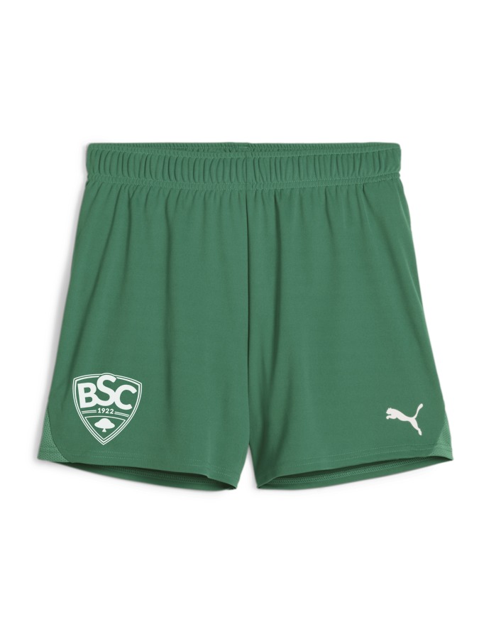 PUMA teamGOAL Handballshorts Damen