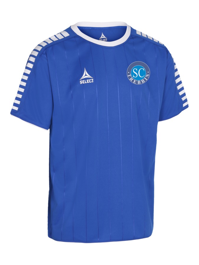 Select Argentina Trikot