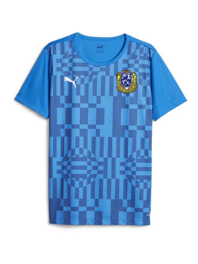 PUMA individualRISE Graphic Trikot