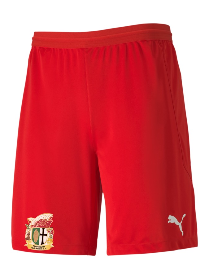 PUMA teamFINAL 21 Knit Shorts