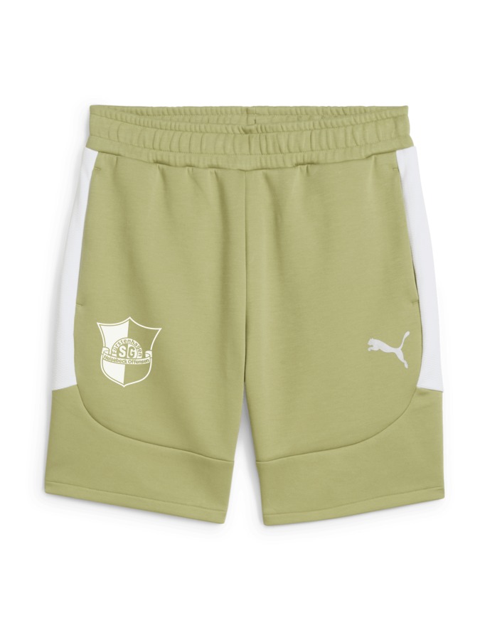 PUMA teamEVOSTRIPE Shorts