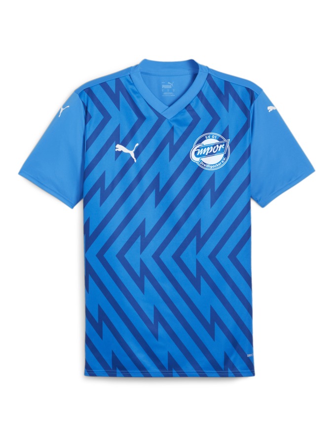 PUMA teamGLORY Trikot