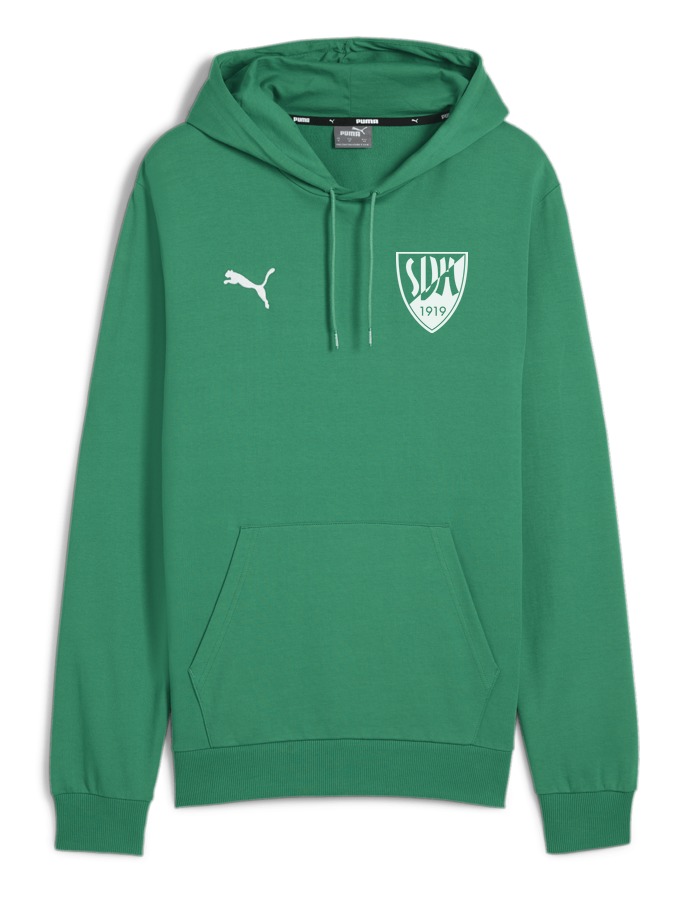 PUMA teamGOAL Casuals Hoody
