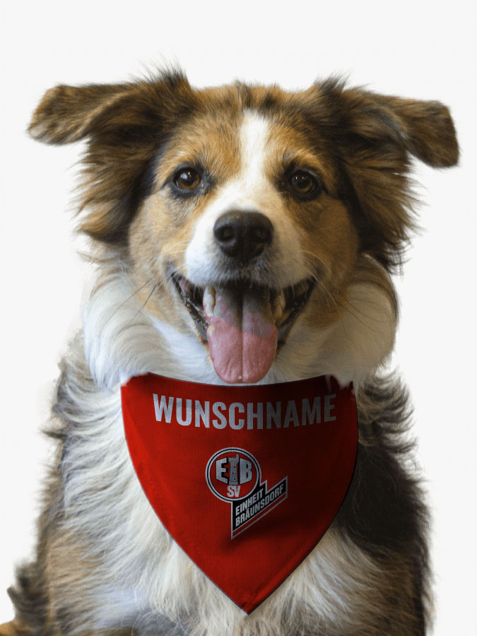 Hundehalstuch