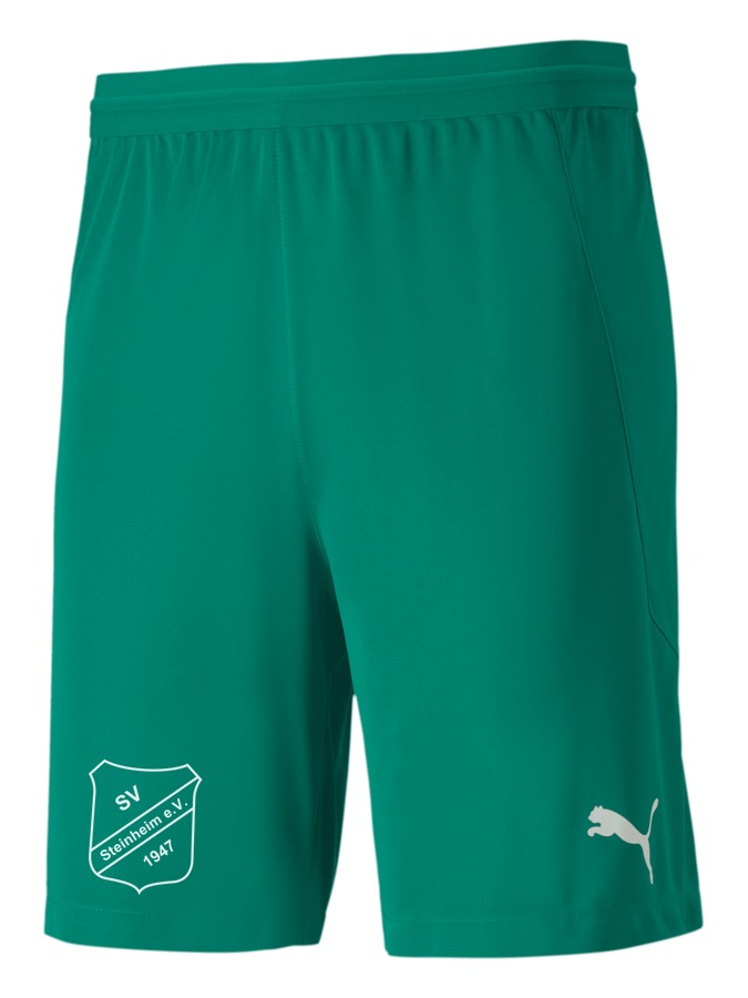 PUMA teamFINAL 21 Knit Shorts