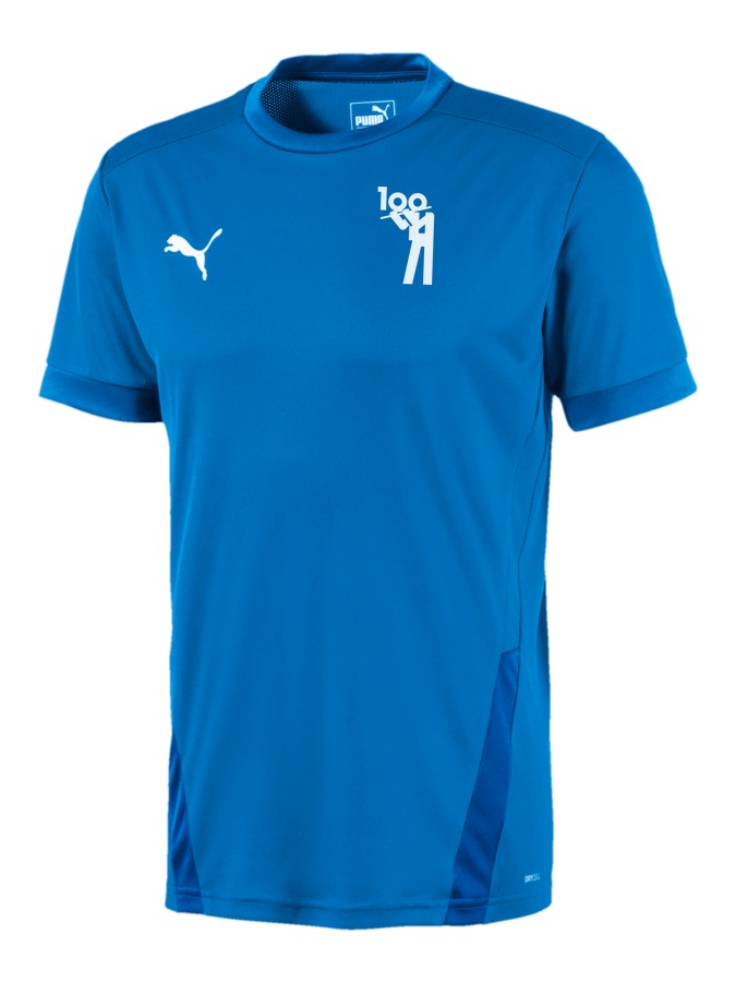 PUMA teamGOAL 23 Trikot
