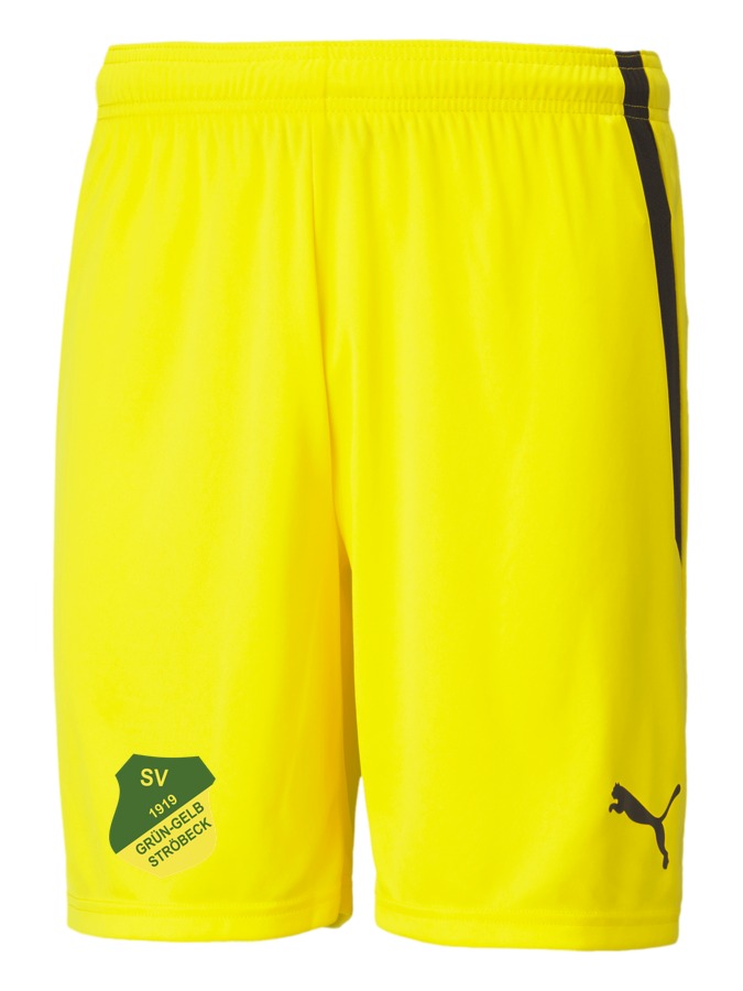 PUMA teamLIGA Shorts