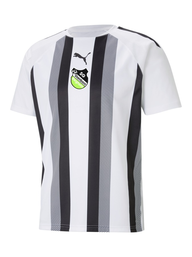 PUMA teamLIGA Striped Trikot