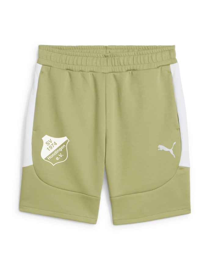 PUMA teamEVOSTRIPE Shorts