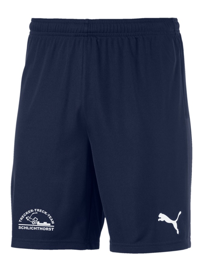 PUMA teamGOAL 23 Knit Shorts
