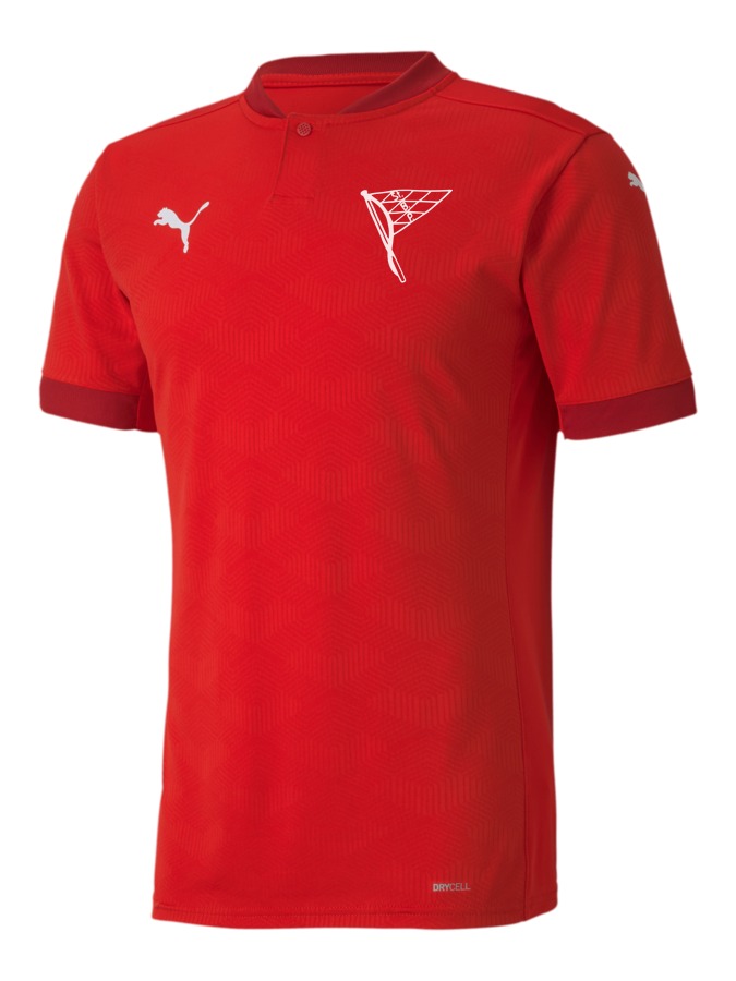 PUMA teamFINAL 21 Trikot