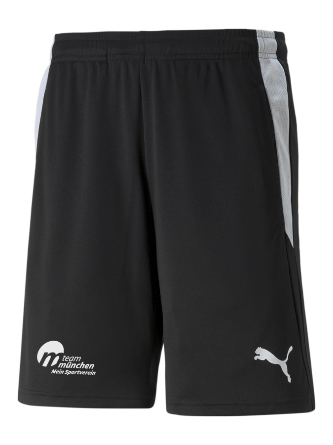 PUMA teamLIGA Referee Shorts