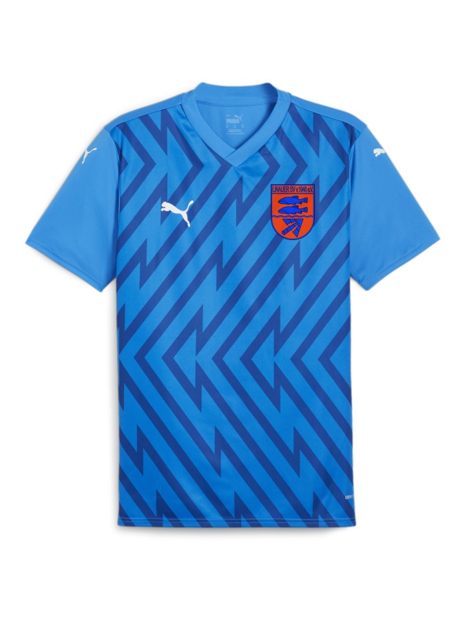 PUMA teamGLORY Trikot