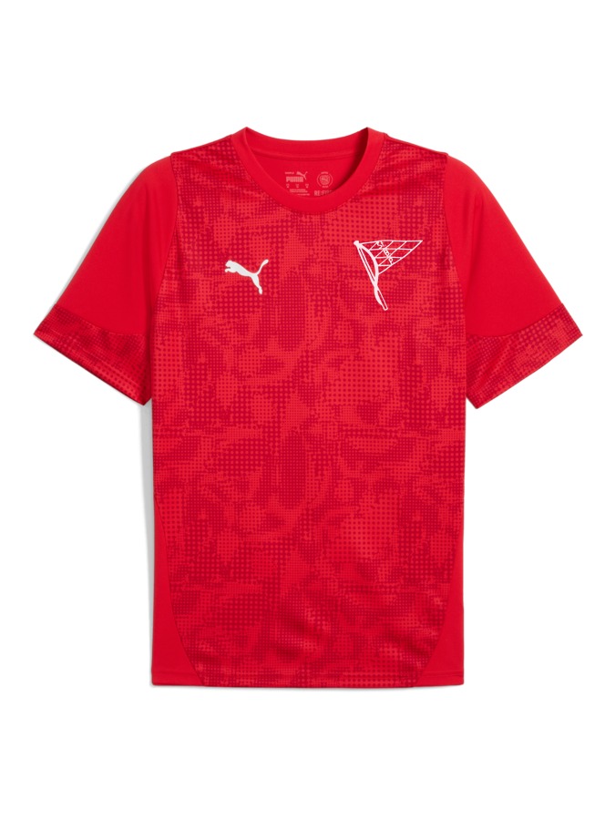 PUMA teamCUP Trainingsshirt