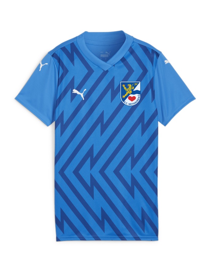 PUMA teamGLORY Trikot Damen