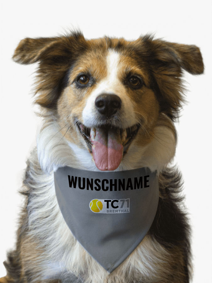 Hundehalstuch
