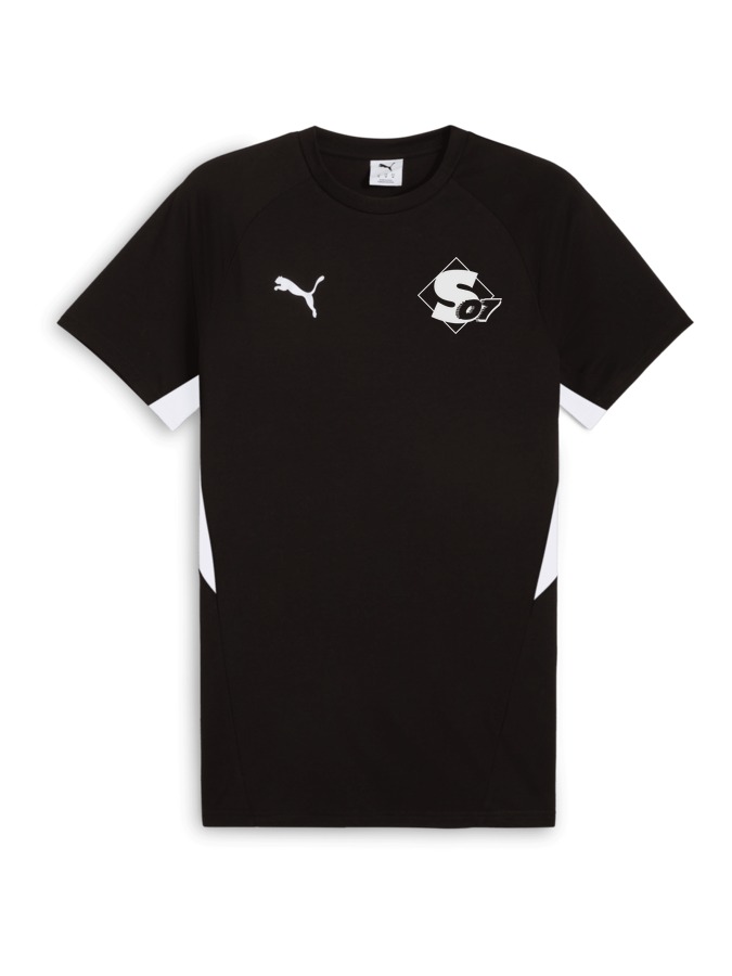 PUMA teamEVOSTRIPE T-Shirt