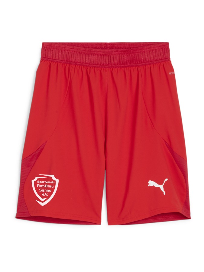 PUMA teamFINAL Shorts