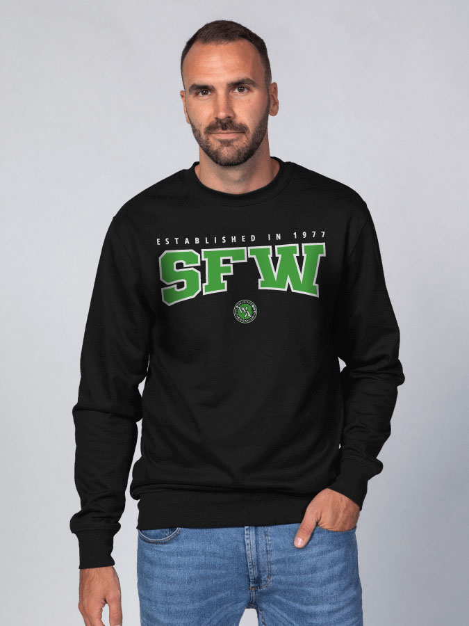 Sweater Retro Herren