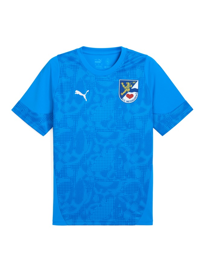 PUMA teamCUP Trainingsshirt