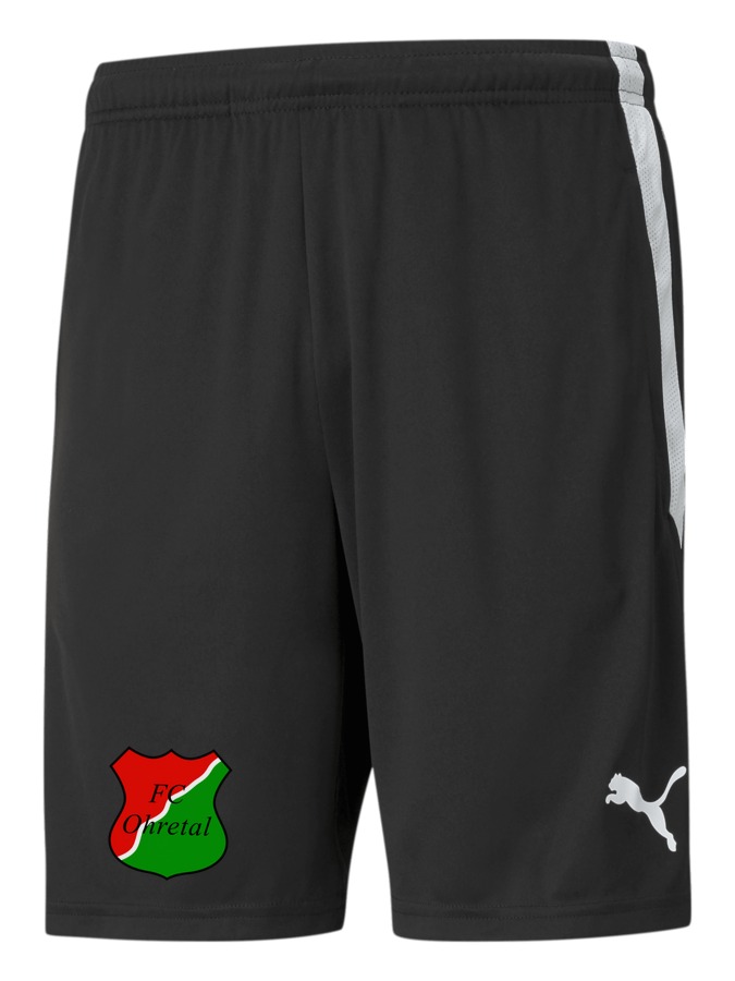 PUMA teamLIGA Training Shorts