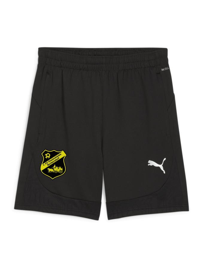 PUMA teamFINAL Training Shorts