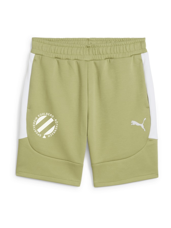 PUMA teamEVOSTRIPE Shorts