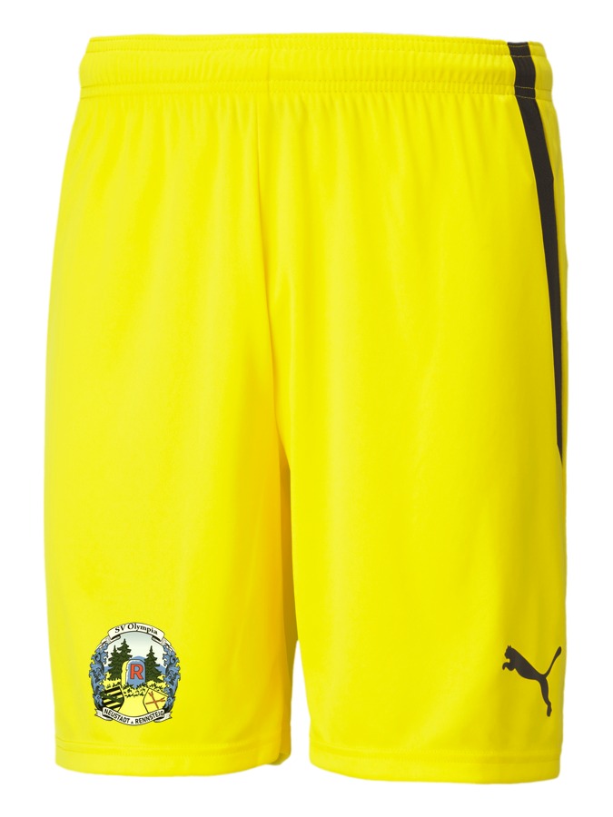 PUMA teamLIGA Shorts