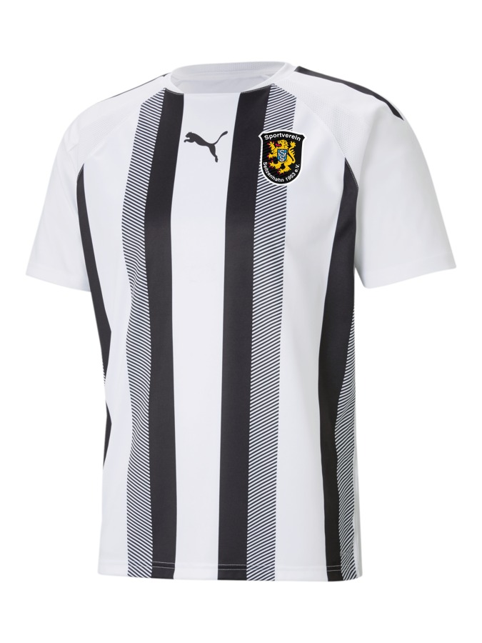 PUMA teamLIGA Striped Trikot