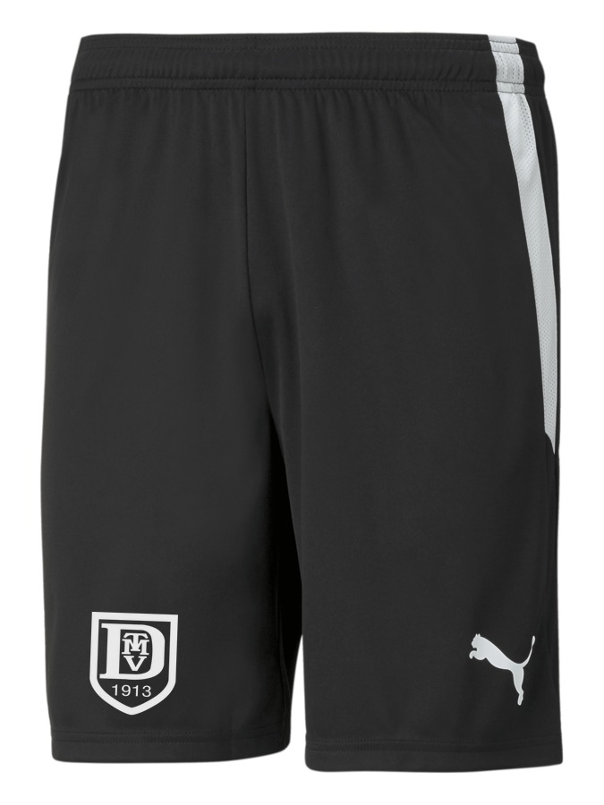 PUMA teamLIGA Shorts