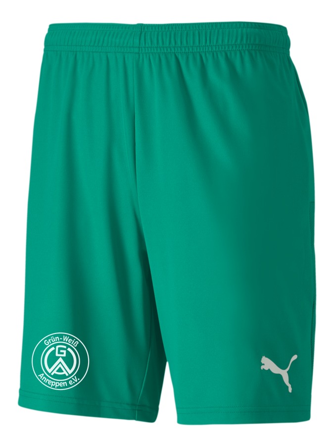 PUMA teamGOAL 23 Knit Shorts