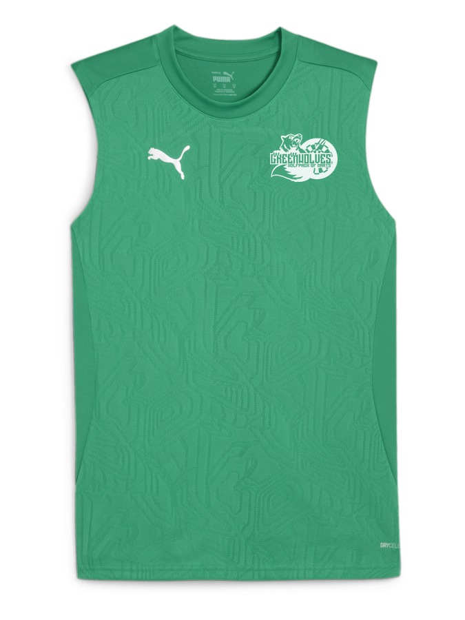 PUMA teamFINAL Trainingstanktop