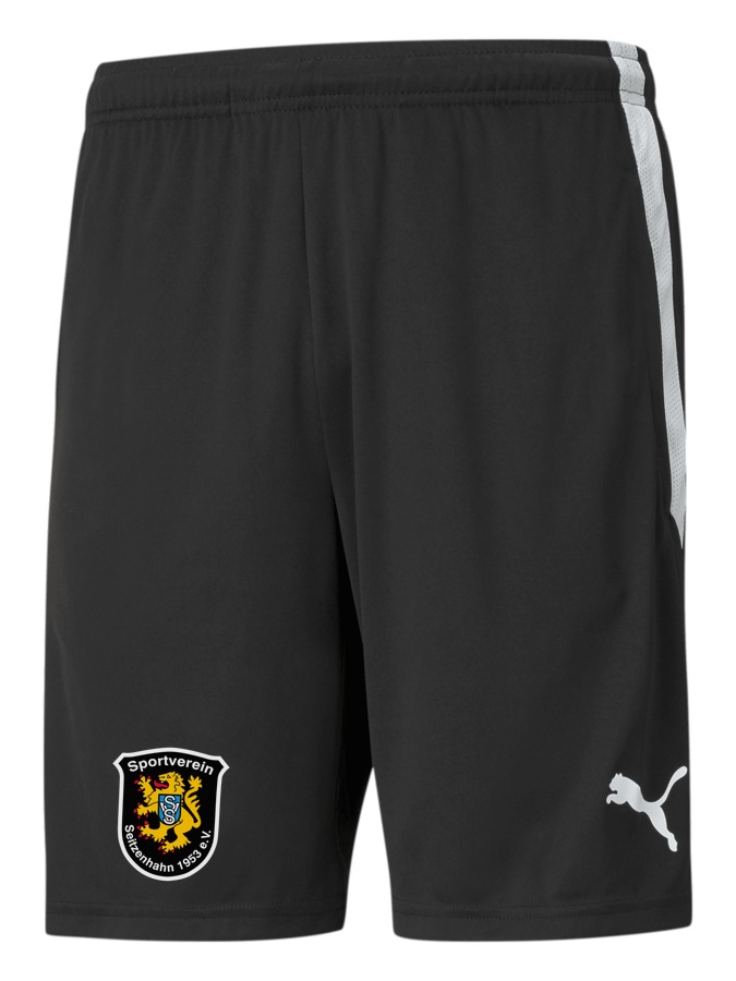 PUMA teamLIGA Training Shorts