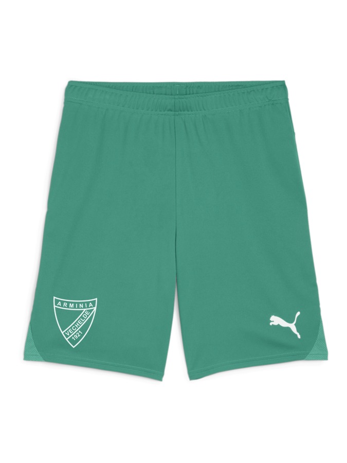 PUMA teamGOAL Shorts