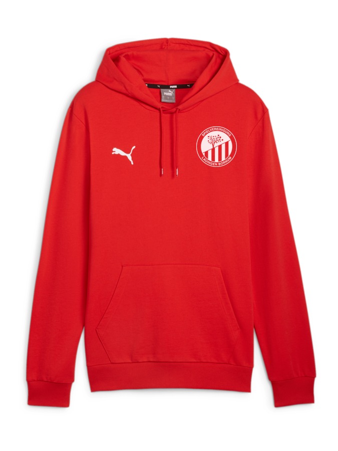 PUMA teamGOAL Casuals Hoody