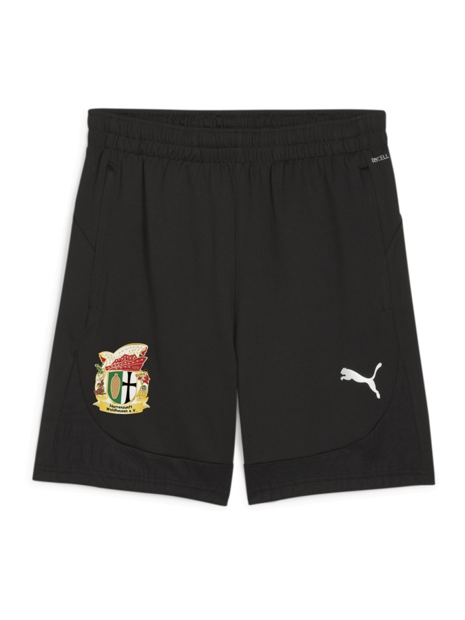 PUMA teamFINAL Training Shorts