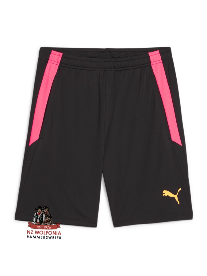 PUMA teamLIGA Training Shorts 2 (Offene Taschen)