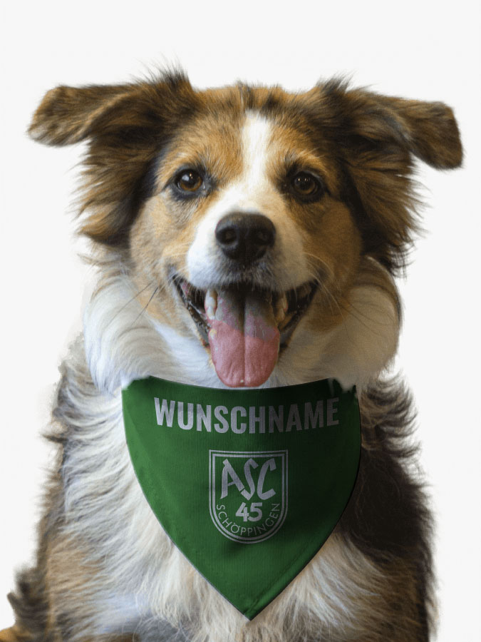 Hundehalstuch