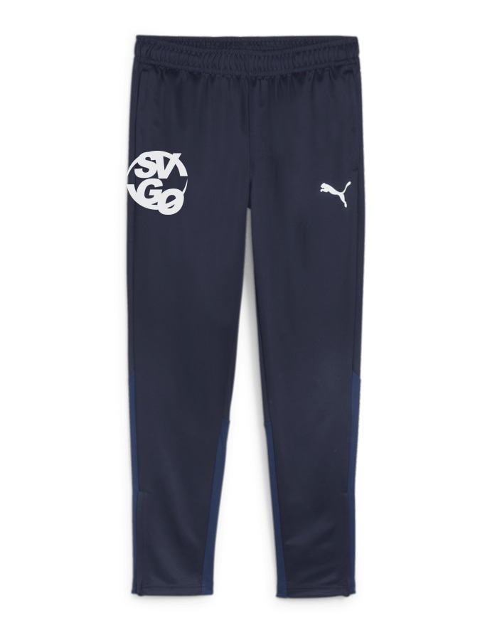 PUMA teamGOAL Trainingshose