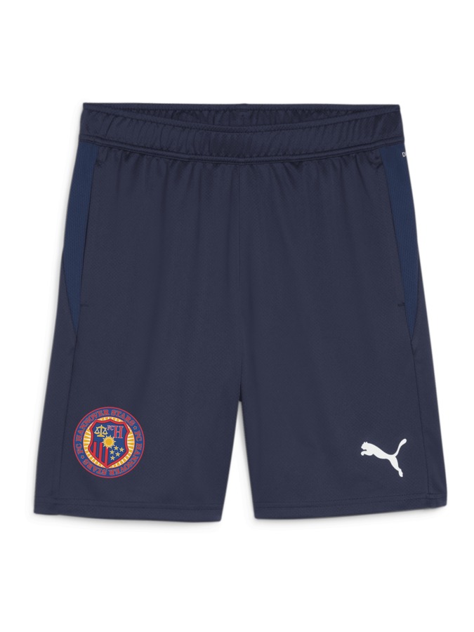 PUMA teamGOAL Training Short