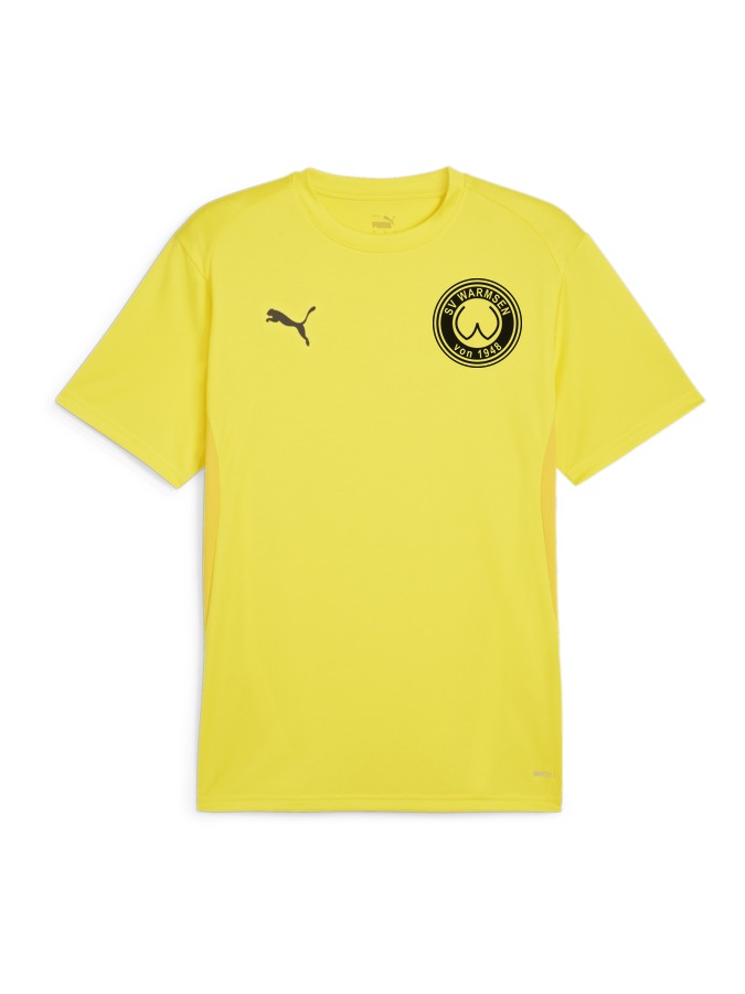 PUMA teamGOAL Trikot