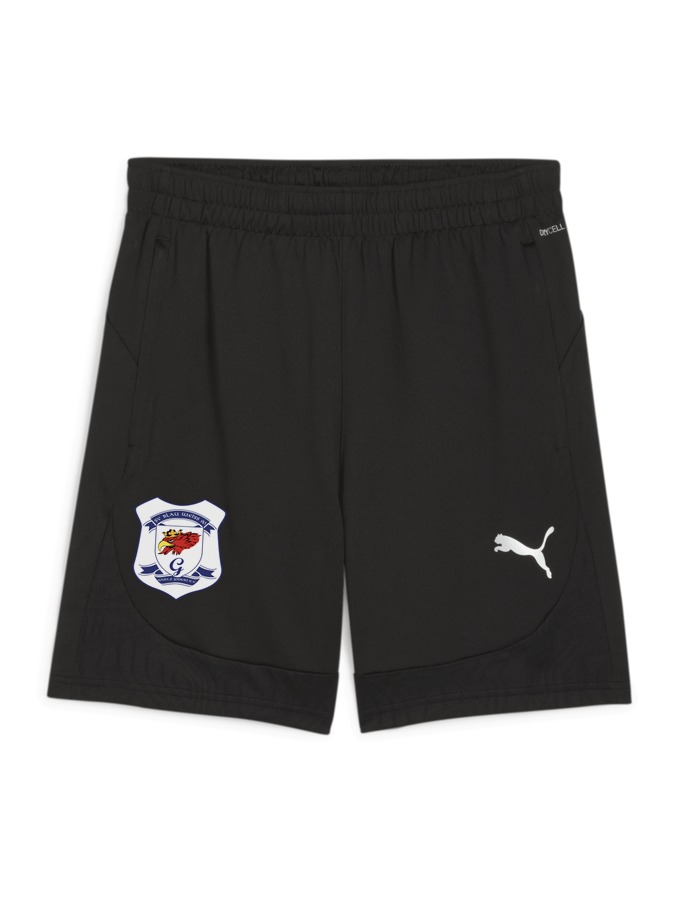PUMA teamFINAL Training Shorts