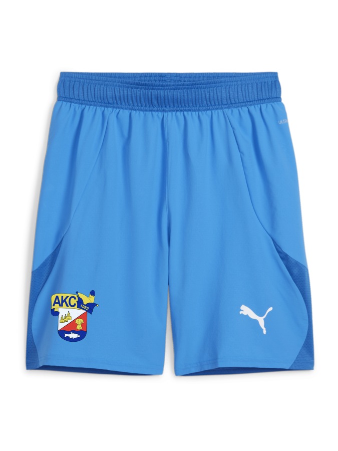 PUMA teamFINAL Shorts
