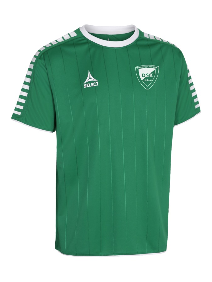 Select Argentina Trikot