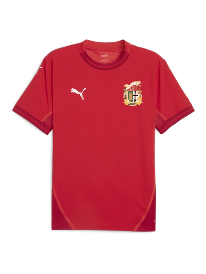 PUMA teamFINAL Trikot
