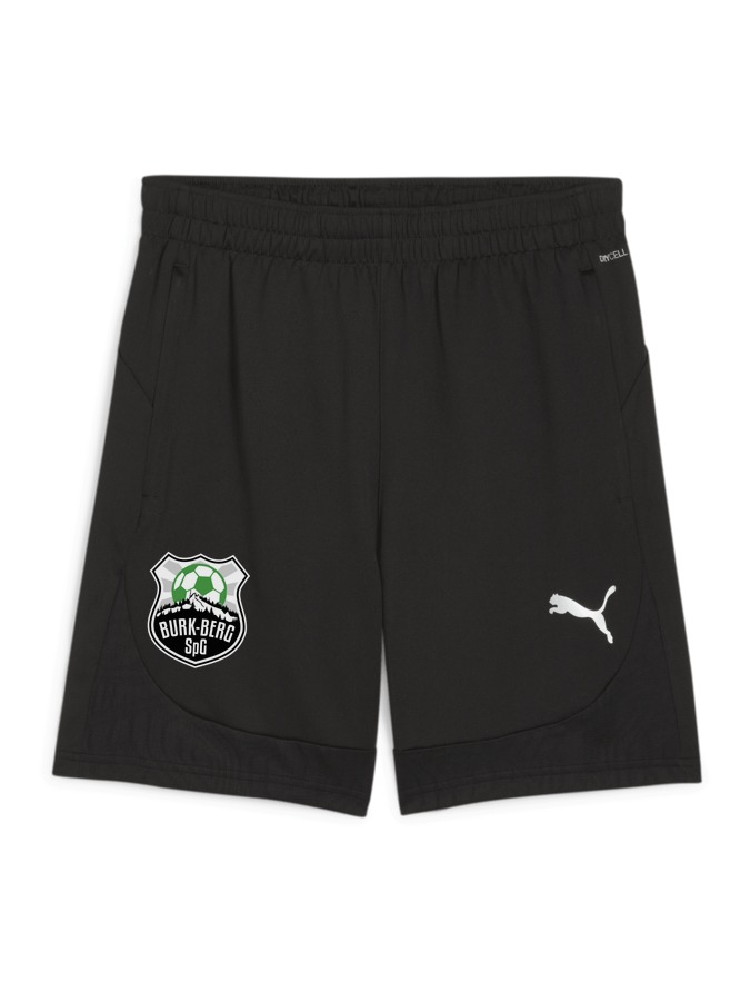 PUMA teamFINAL Training Shorts