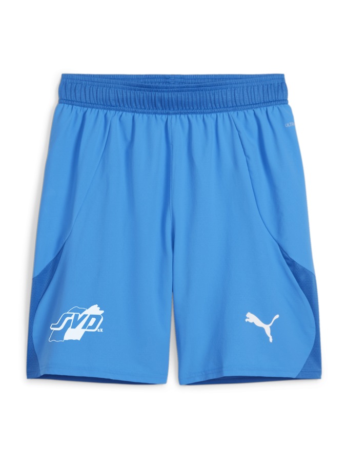 PUMA teamFINAL Shorts