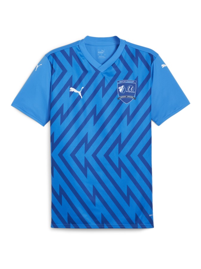PUMA teamGLORY Trikot