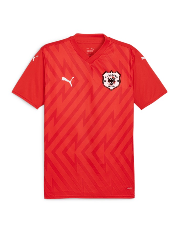 PUMA teamGLORY Trikot